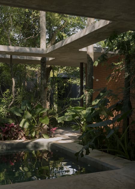 A Forest in the House